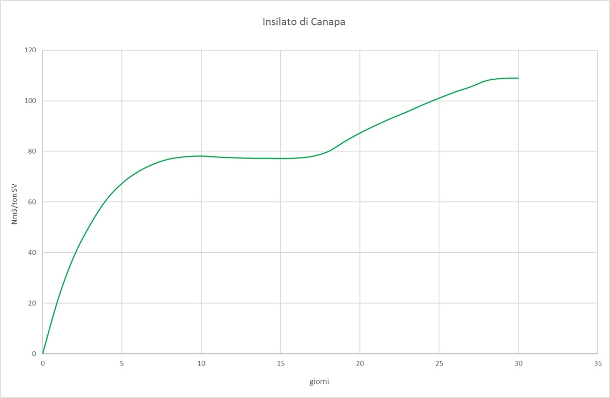 Grafico: L'insilaggio sembra ridurre il potere inibitorio della canapa, ma la resa in metano è comunque molto ridotta. Si andrebbe a consumare più energia per raccolto, trinciatura e insilaggio di quanta ne sia possibile ricavare dal biogas